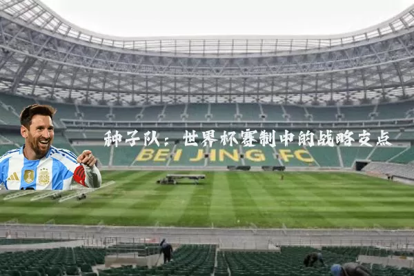 种子队：世界杯赛制中的战略支点